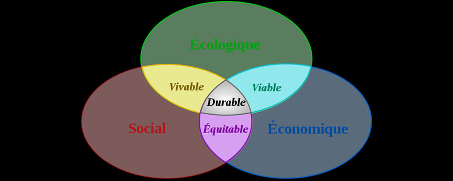économie sociale et solidaire